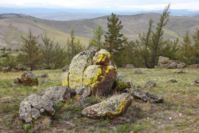 tazeranskaja steppe333.jpg
